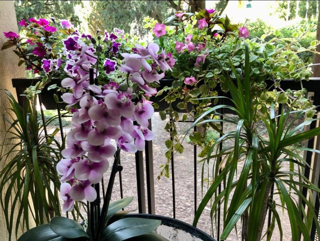 Residence Villa Alba Room Nr 221 غاردوني ريفييرا المظهر الخارجي الصورة